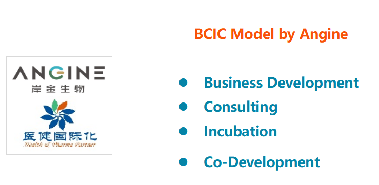 BCIC model.png