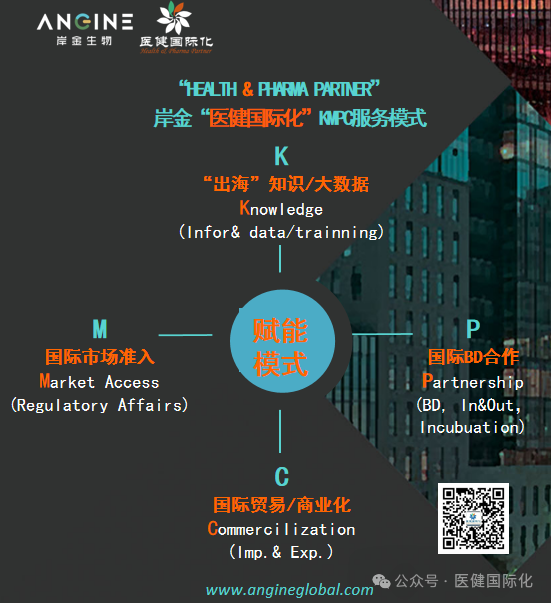岸金医健国际化 BZ MODEL.png
